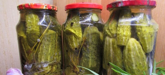 рецепт соленых огурцов с эстрагоном на зиму рецепт соленых огурцов с эстрагоном на зиму