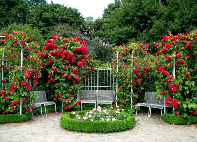 стеклопластиковые опоры для растений стеклопластиковые опоры для растений