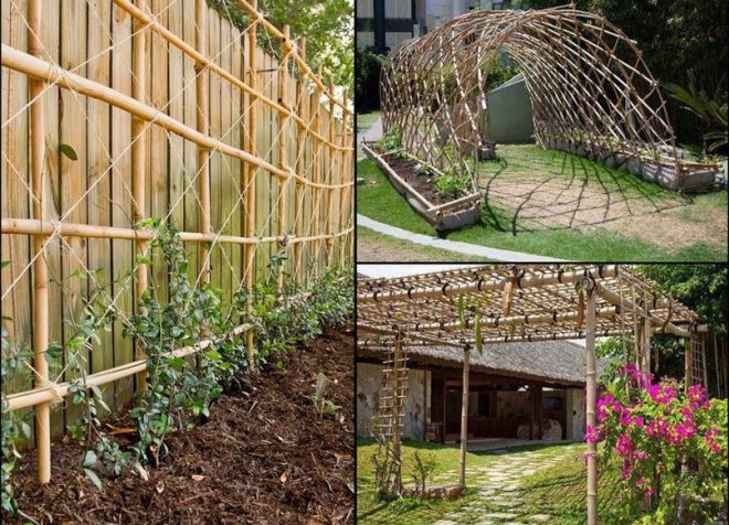 опоры для растений из бамбука опоры для растений из бамбука