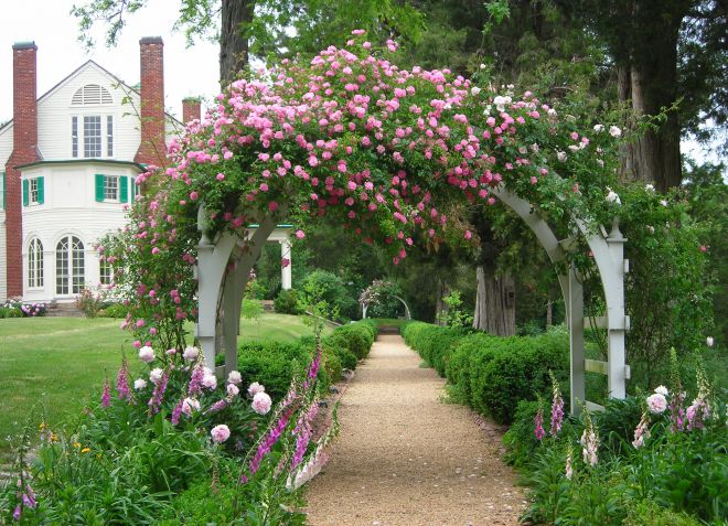 деревянные опоры для вьющихся растений деревянные опоры для вьющихся растений