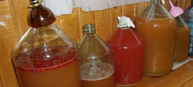 самогон из яблок рецепт самогон из яблок рецепт