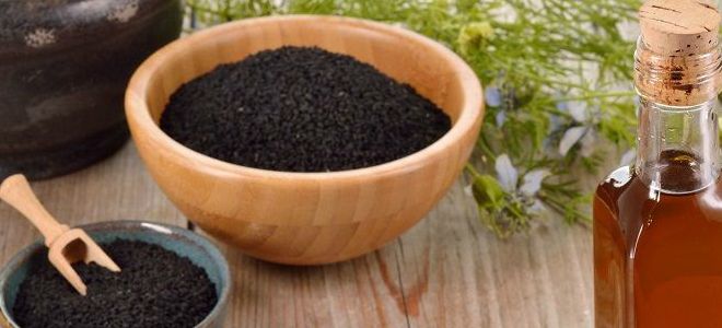 черный тмин лечебные свойства и противопоказания черный тмин лечебные свойства и противопоказания