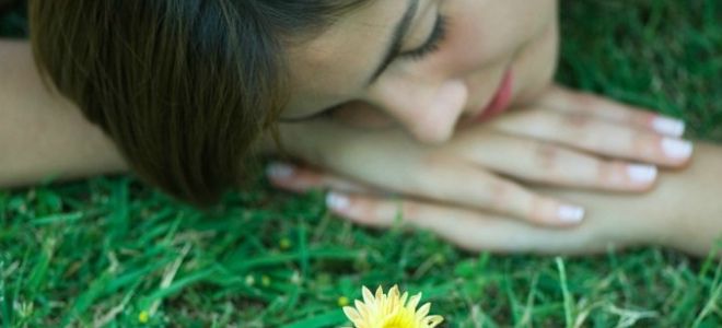 что помогает от бессонницы что помогает от бессонницы