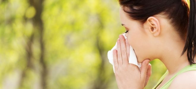 Дыня перекрестная аллергия Дыня перекрестная аллергия