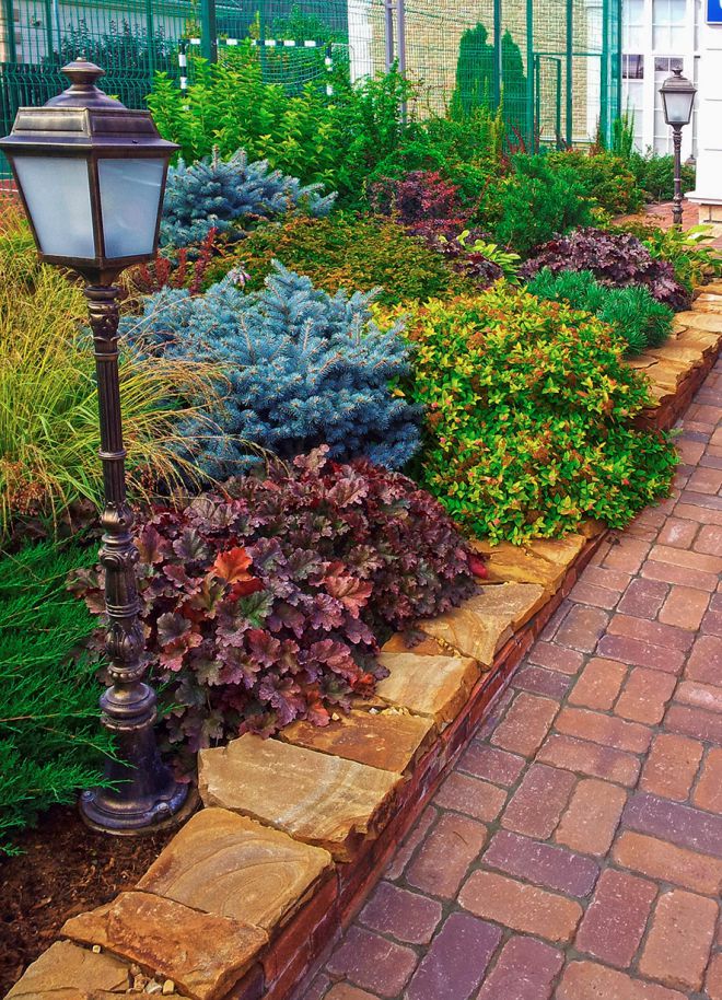 гейхера в миксбодере гейхера в миксбодере