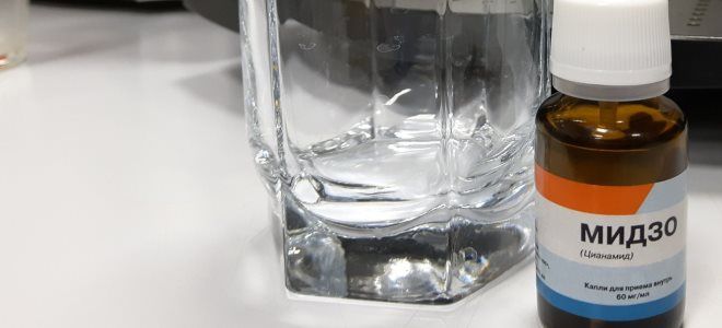 фото1 капли трезвости мидзо