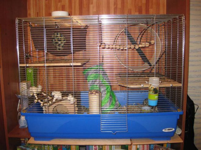 Клетка для белки дегу Клетка для белки дегу