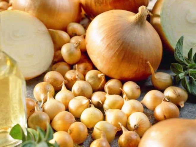 Когда сажать лук на головку Когда сажать лук на головку