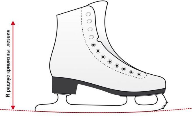 конструкция коньков конструкция коньков