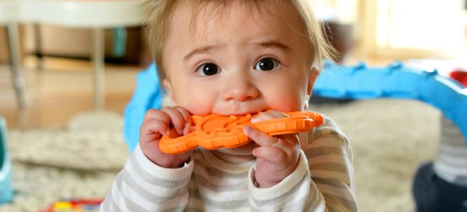 лямблиоз причины возникновения лямблиоз причины возникновения