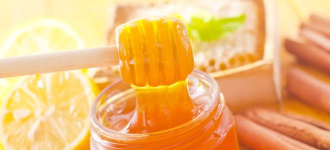 Маска для волос корица мед лимон Маска для волос корица мед лимон