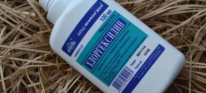 полоскать горло хлоргексидином при ларингите полоскать горло хлоргексидином при ларингите