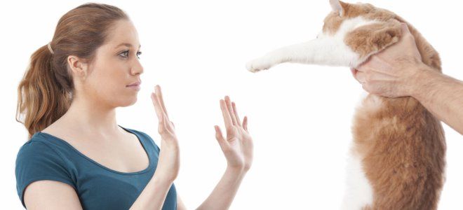 причины аллергии на шерсть причины аллергии на шерсть