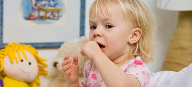 Признаки коклюша у ребенка Признаки коклюша у ребенка