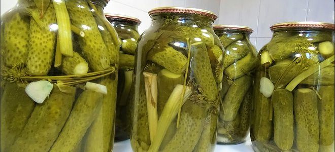 рецепт огурцов по болгарски на зиму рецепт огурцов по болгарски на зиму