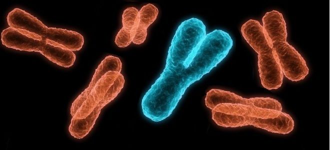 Синдром Клайнфельтера причины возникновения Синдром Клайнфельтера причины возникновения