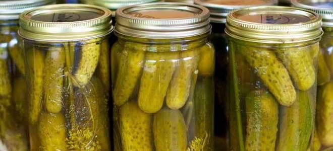 соленые огурцы горячим способом на зиму соленые огурцы горячим способом на зиму