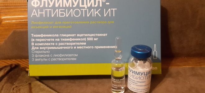 средство от кашля флуимуцил средство от кашля флуимуцил