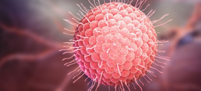 заболевание ветряная оспа заболевание ветряная оспа