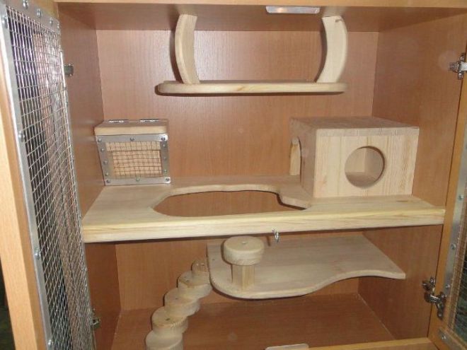 Домик для дегу Домик для дегу