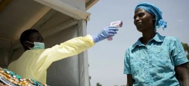 эбола возбудитель эбола возбудитель