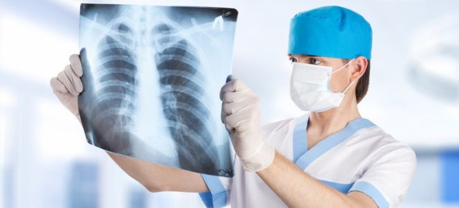 экстракт восковой моли применение экстракт восковой моли применение