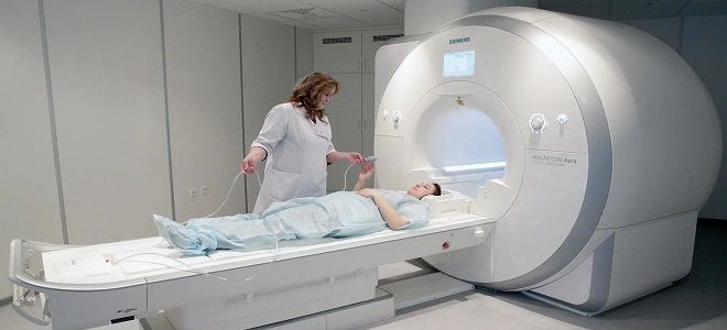 фото2 гистология поджелудочной железы