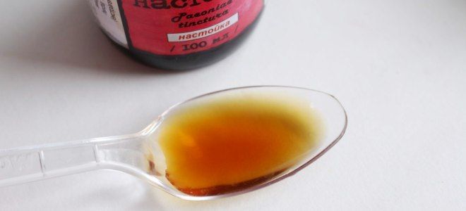 Как пить настойку пиона уклоняющегося для успокоения Как пить настойку пиона уклоняющегося для успокоения