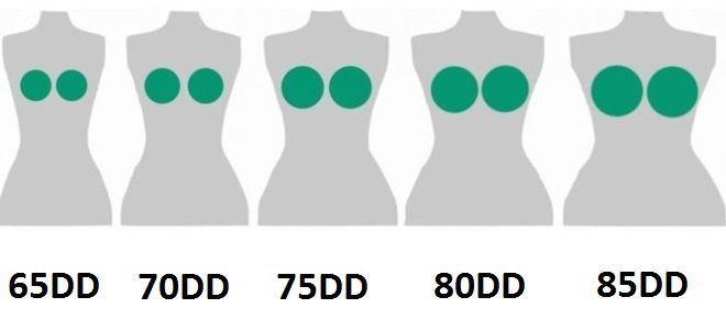 Как выбрать размер бюстгальтера Как выбрать размер бюстгальтера