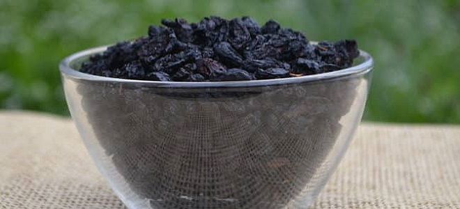 как высушить жимолость на зиму как высушить жимолость на зиму