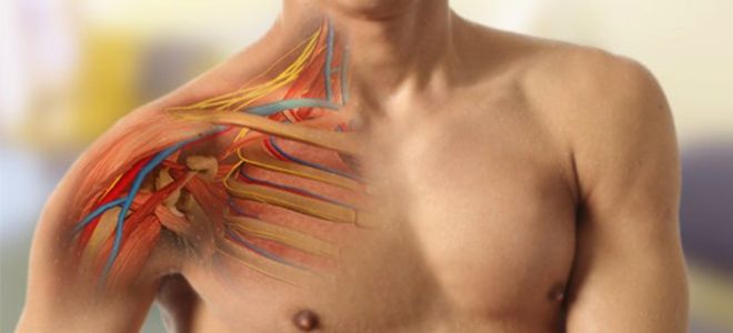 фото2 ларигама уколы инструкция