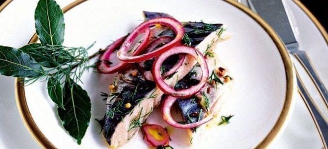 фото2 маринад для скумбрии для посола