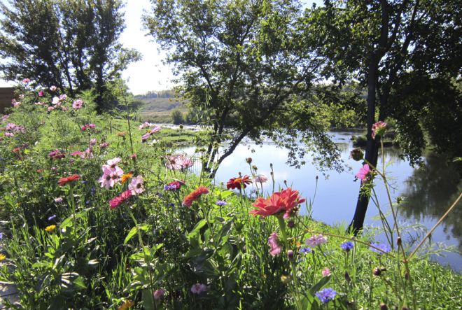 мавританский газон плюсы и минусы мавританский газон плюсы и минусы