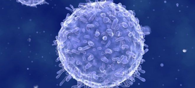 неспецифический гуморальный иммунитет неспецифический гуморальный иммунитет