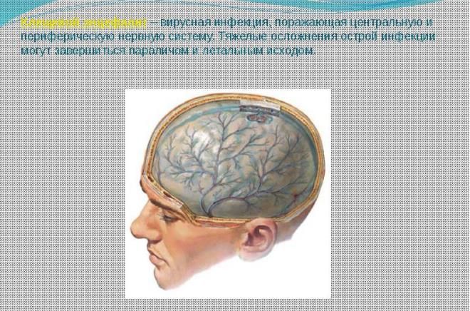 опасен ли ушной клещ для человека опасен ли ушной клещ для человека