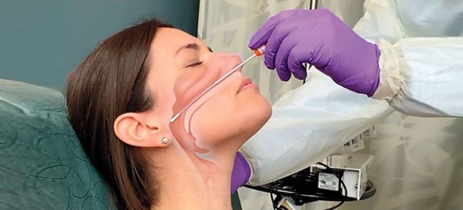 правила сдачи мазка на коронавирус правила сдачи мазка на коронавирус