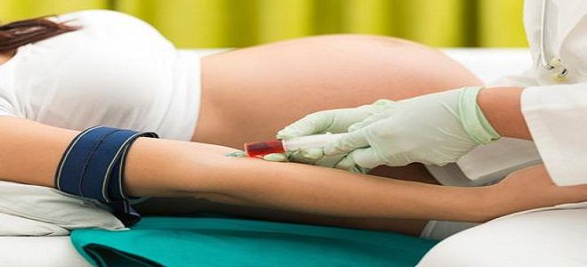 скрининг первого триместра скрининг первого триместра