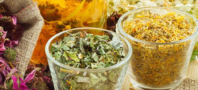 травы от язвенного+стоматита травы от язвенного+стоматита