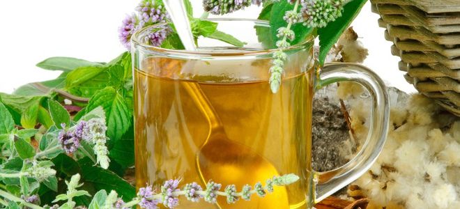 травы от запора травы от запора