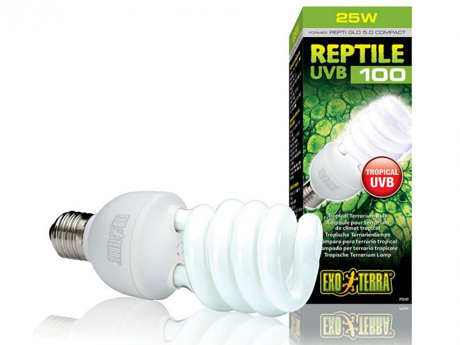 Ультрафиолетовая лампа Ультрафиолетовая лампа