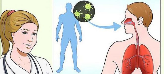 ветрянка передается воздушно капельным путем ветрянка передается воздушно капельным путем