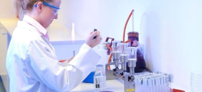 b лимфоциты понижены b лимфоциты понижены