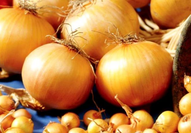 Центурион Центурион