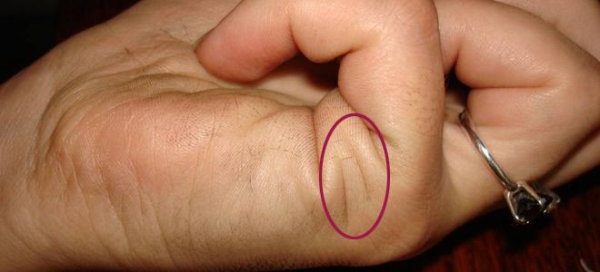 гадание по руке на любовь гадание по руке на любовь