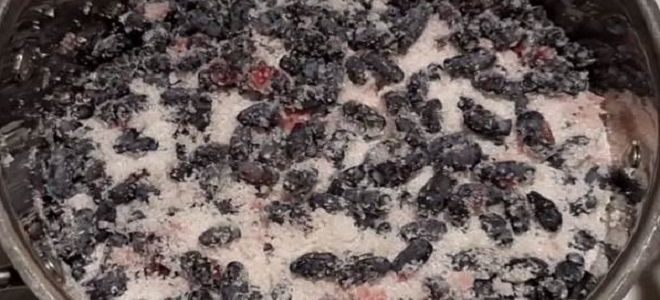 как засахарить жимолость на зиму как засахарить жимолость на зиму