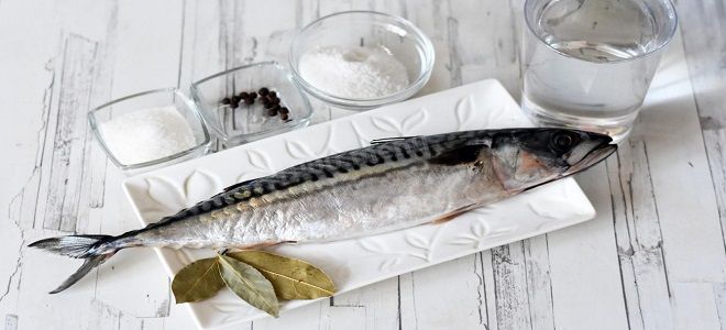 фото3 как засолить скумбрию в рассоле