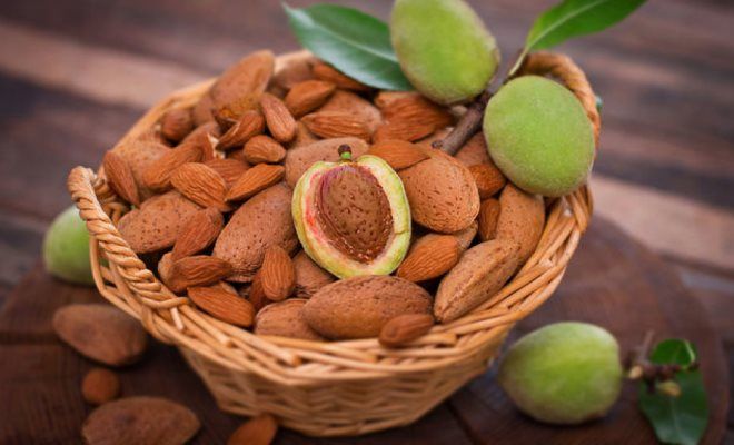 миндаль для похудения миндаль для похудения