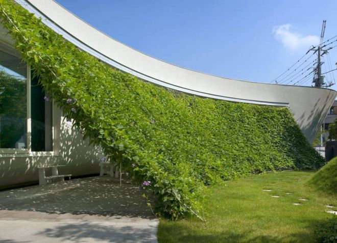 наклонные опоры растений наклонные опоры растений