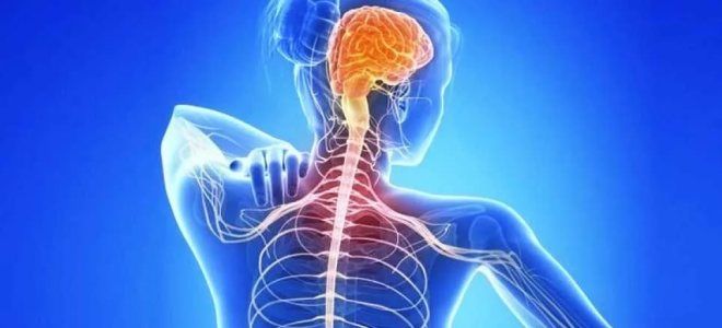 симптом лермитта при рассеянном склерозе симптом лермитта при рассеянном склерозе