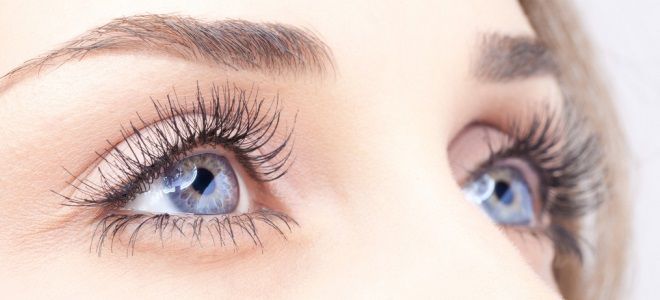 сколько держится вельвет ресниц сколько держится вельвет ресниц